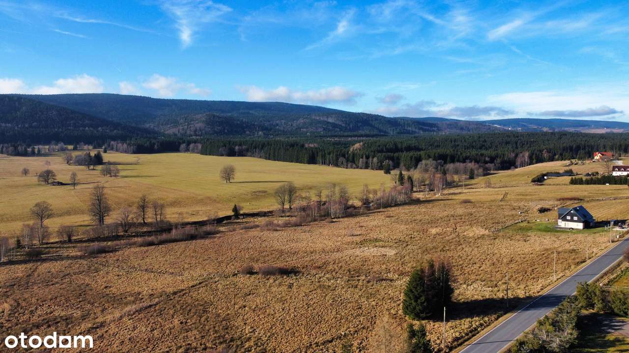 Lasówka działka budowlana przy drodze asfaltowej-0