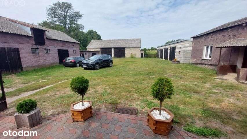 Gospodarstwo 6ha, Babiak, Krukowo-0