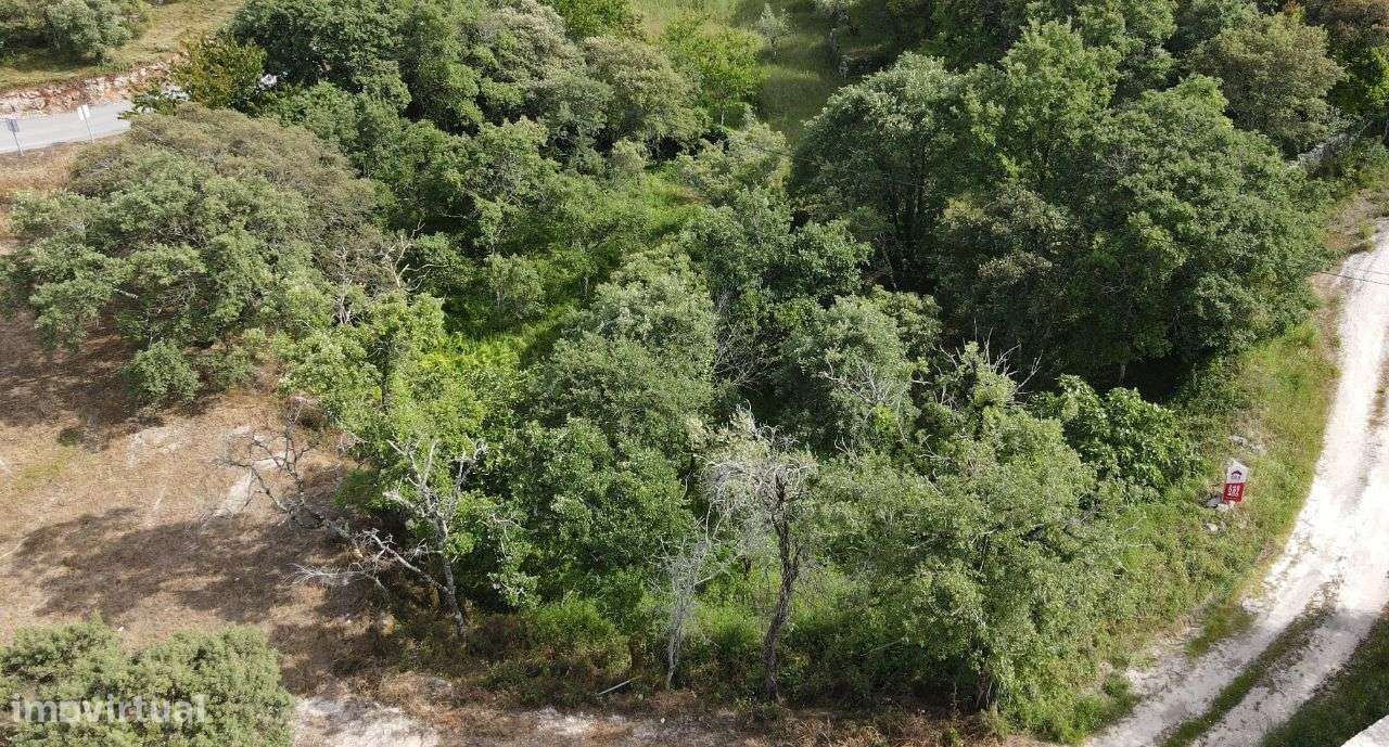 Terreno para construção, Fátima - Grande imagem: 4/9