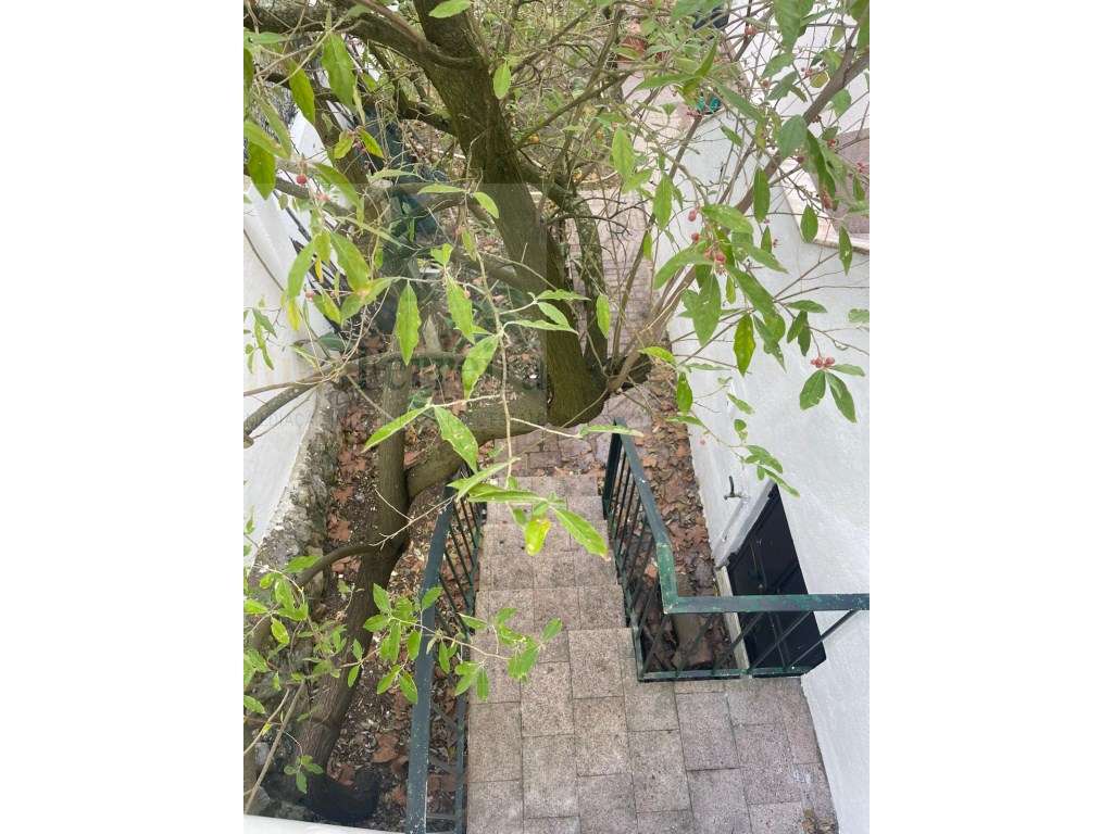 Moradia T5 com jardim privado e garagem !!-50