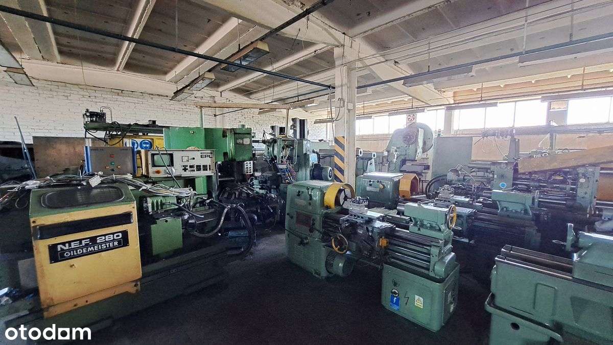 Praszka ul. Kopernika Hala produkcyjno-magazynowa ok.1 000 m² +biura - Pełny obrazek: 4/16