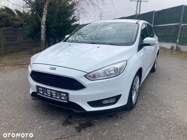 Ford Focus - 14