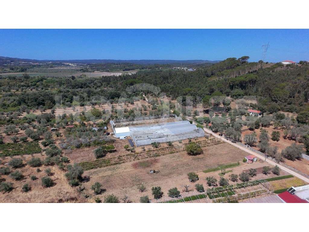 Terreno Agrícola com Estufas Preparadas para Produção em Hidroponia...-28