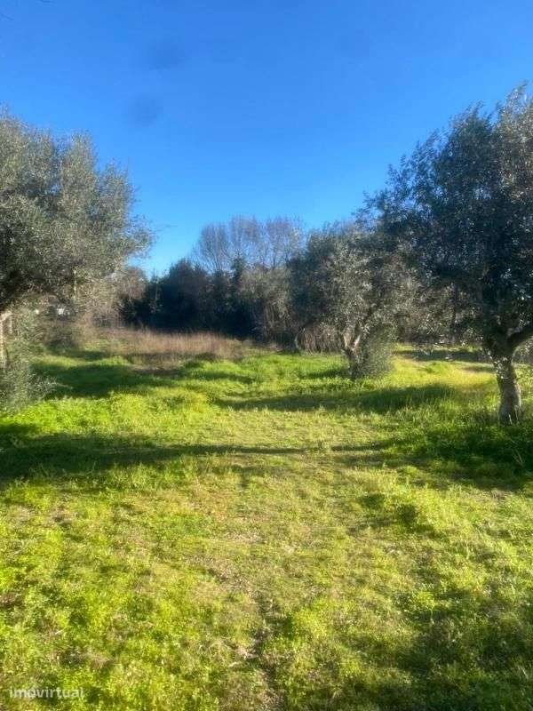 Terreno - Grande imagem: 4/6