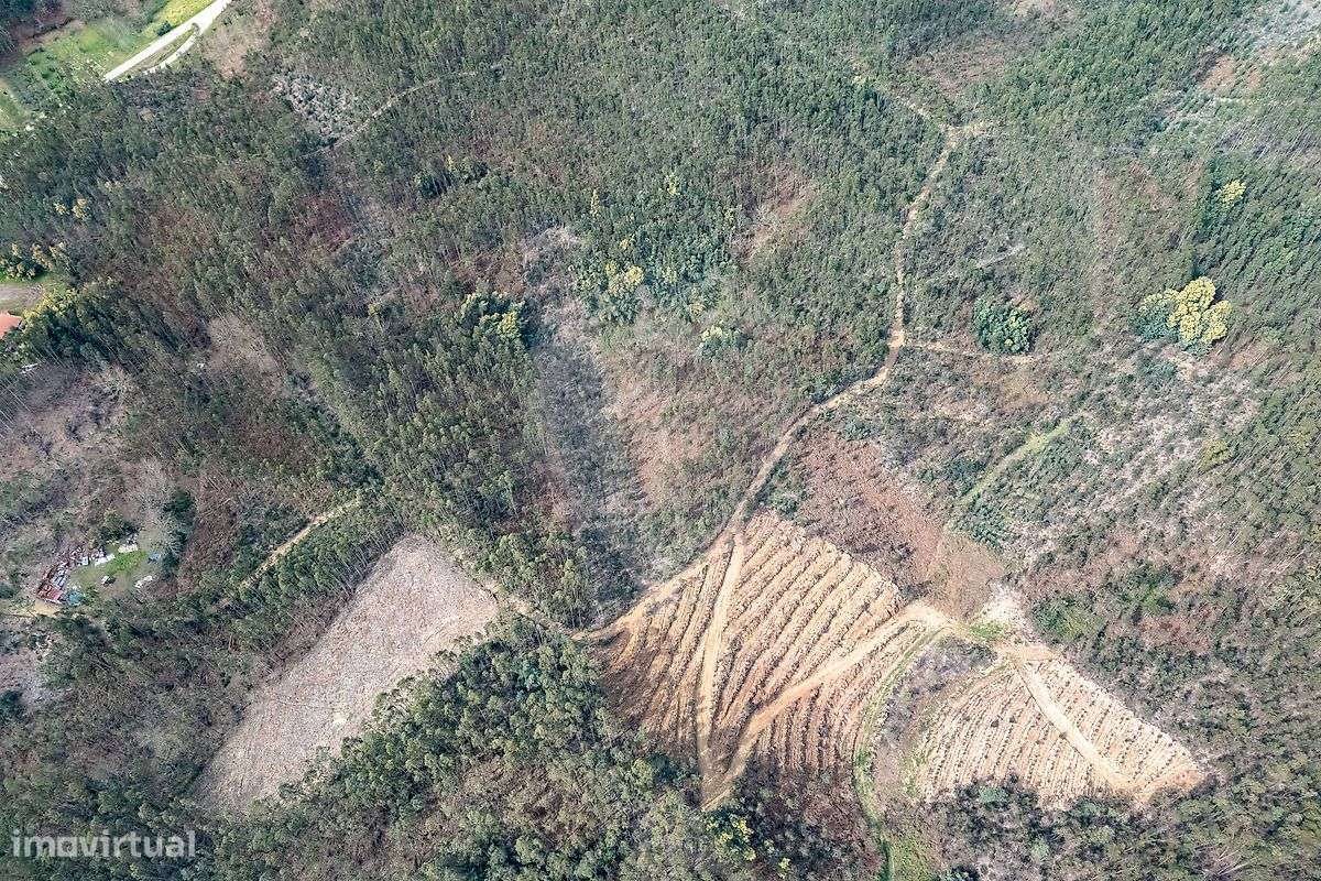 Terreno  para venda-12