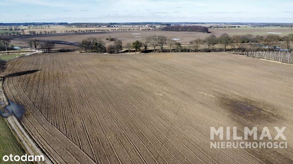 Rola - 7,83 ha - Trojanowo-3