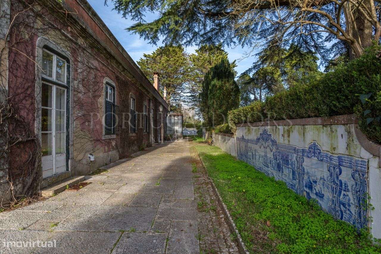 Quinta 5Ha em Azeitão - Grande imagem: 5/60