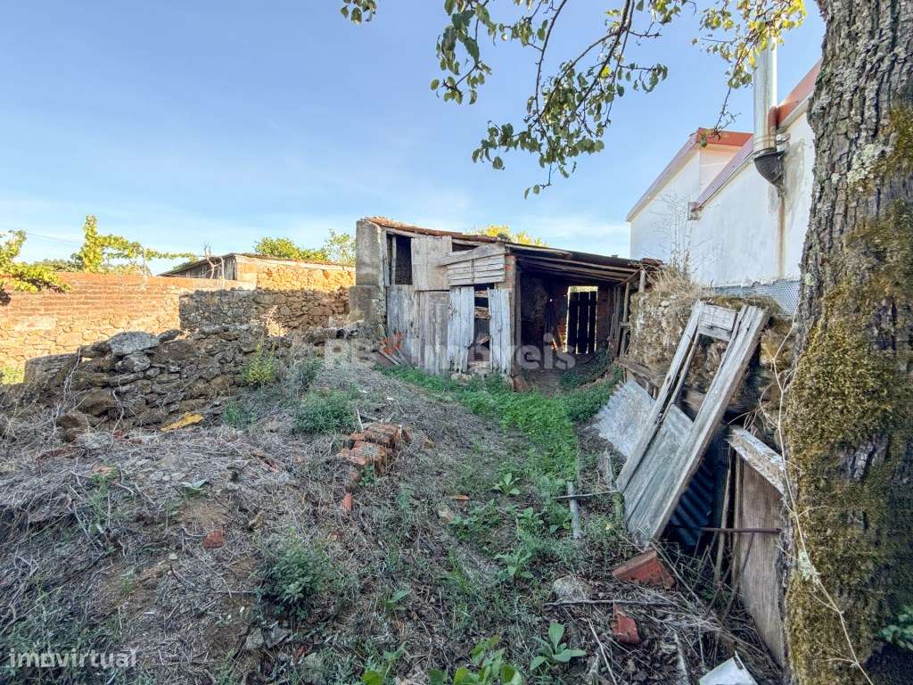 Arrecadação com Terreno e Potencial para Habitação - Roda Pequena-4