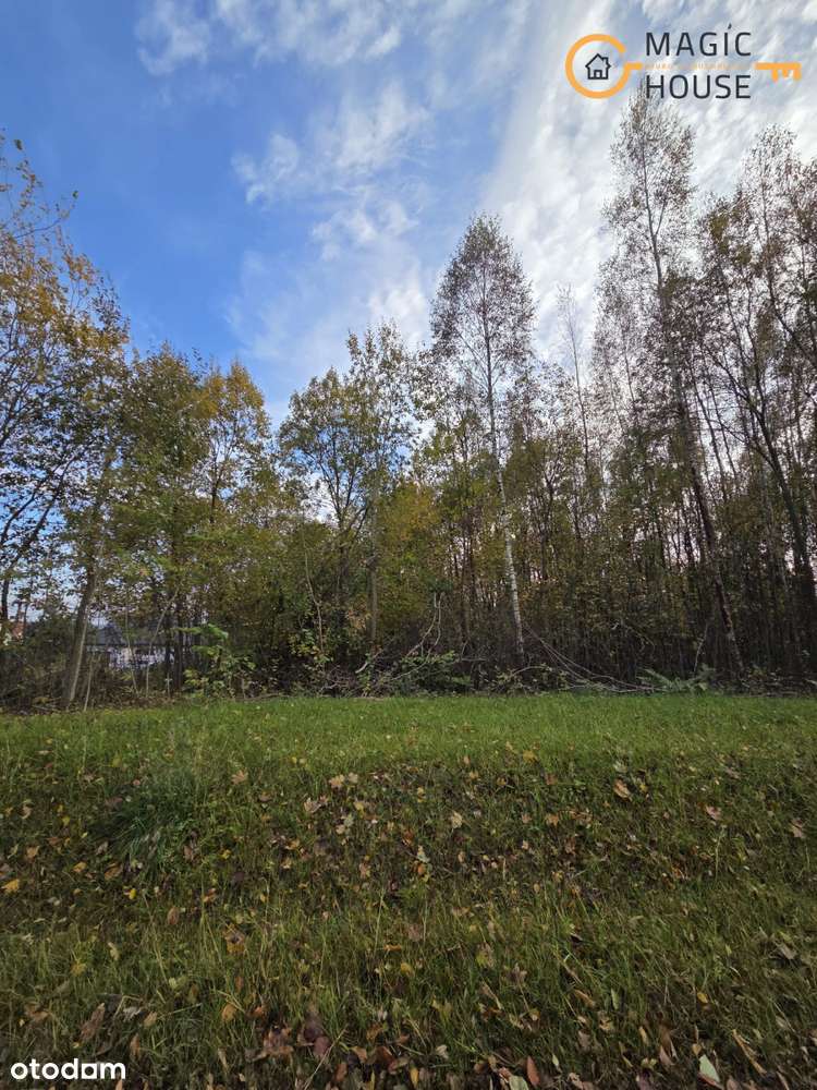 mg667824 - Pełny obrazek: 5/10