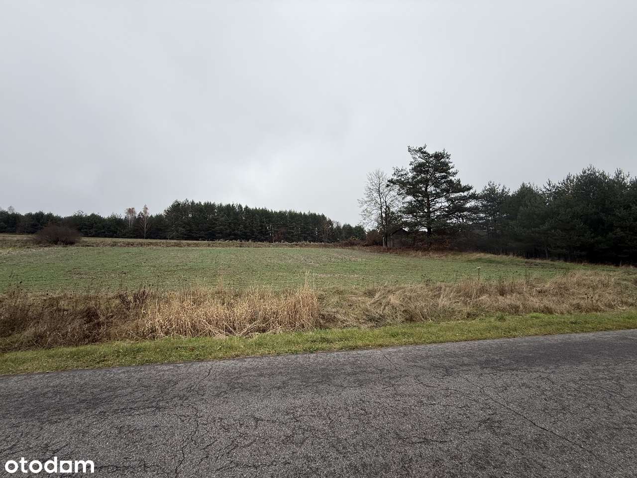 Działka budowlana 2900m² w Hucisku (Krasnobród) w spokojnym otoczeniu - Pełny obrazek: 5/9