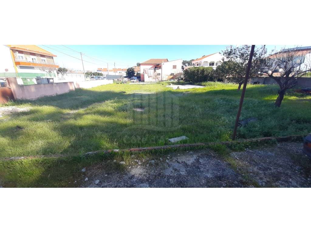 O Lugar Ideal para a Sua Futura Moradia no Pinhal do General-19