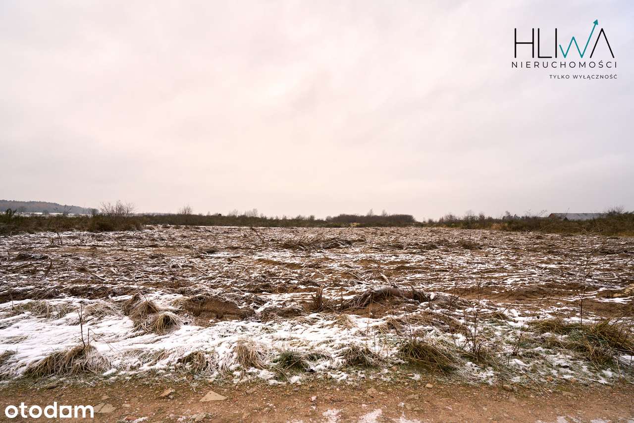 Działka zagrodowa Mierzyno gm. Gniewino 3011 m2-16