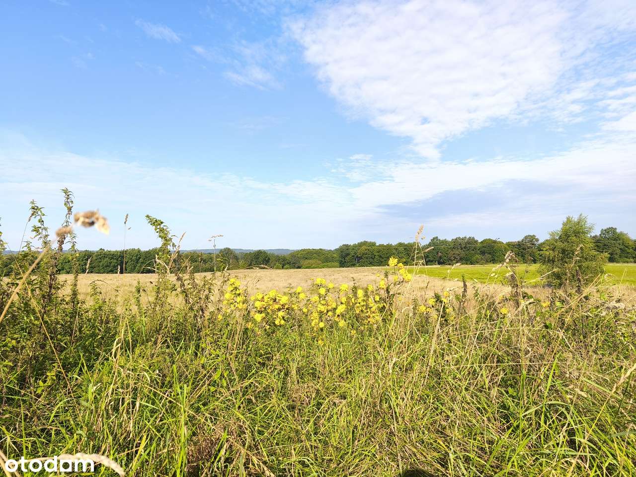 Z dala od spojrzeń sąsiadów-0