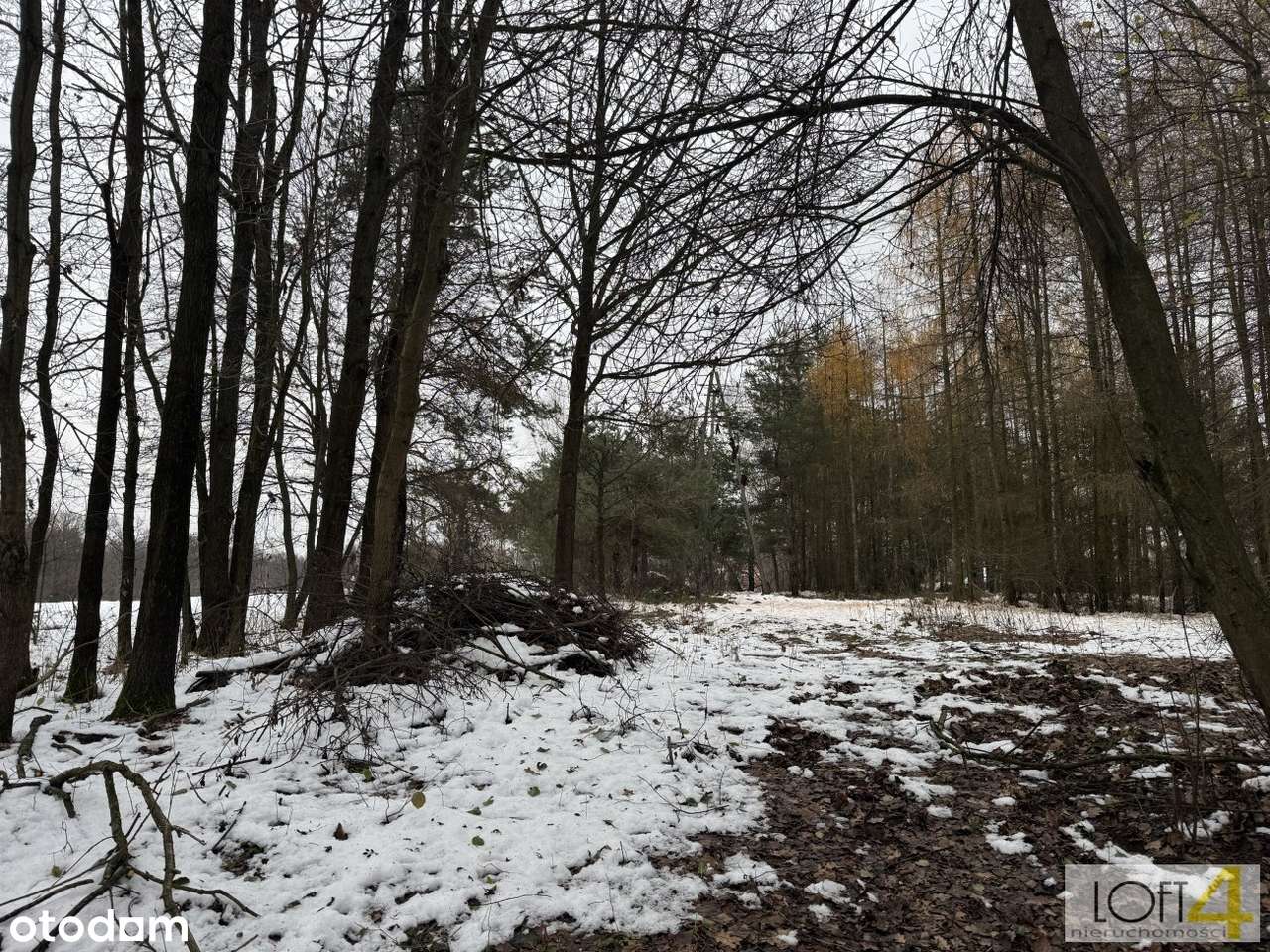 Duża działka z WZ -  otulona lasem-10