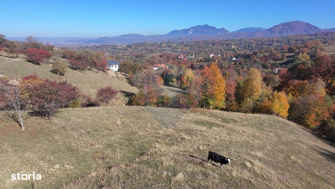 Teren 2,500mp Bran / Strada Bradul Inalt - Imagine principală: 5/9