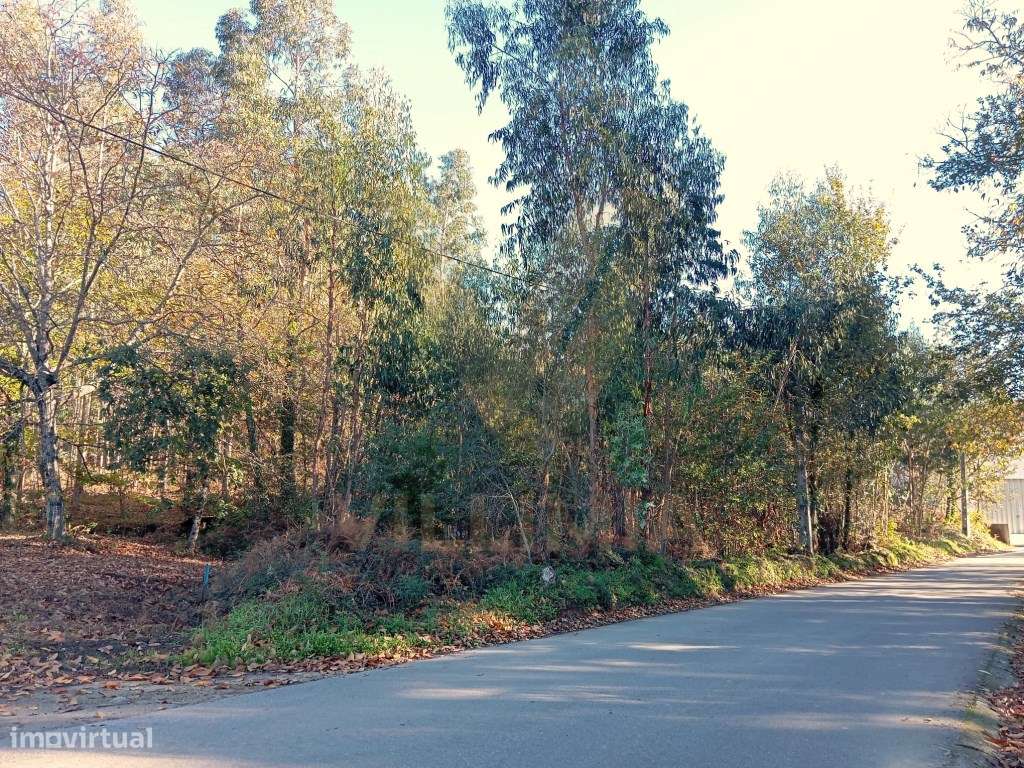 Terreno 2.290m² Urbanizavél - Fornelos - Ponte de Lima - Grande imagem: 2/7