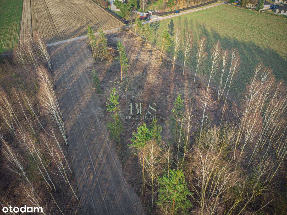pod zabudowę jednorodzinną - Pełny obrazek: 5/7