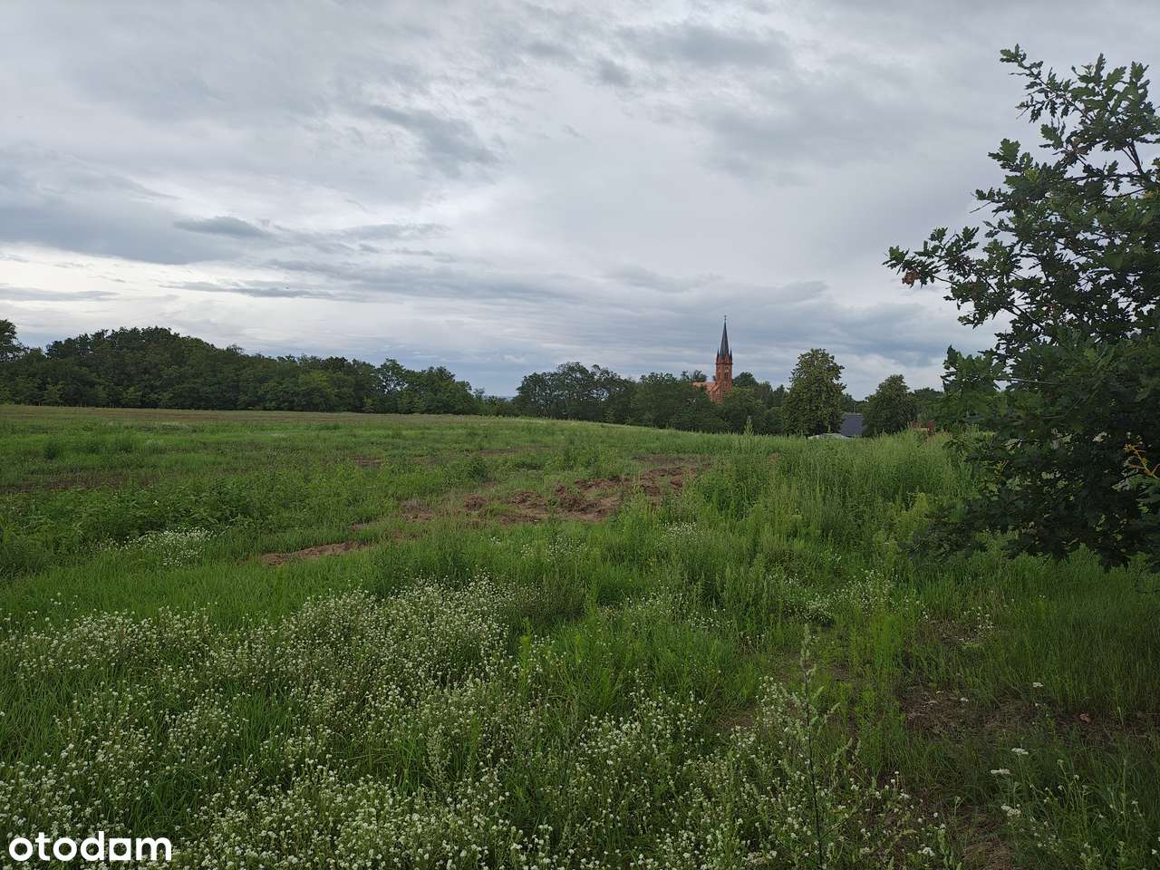 Sprzedam działkę 19900 m² w urokliwej okolicy - możliwość podziału - Pełny obrazek: 4/7