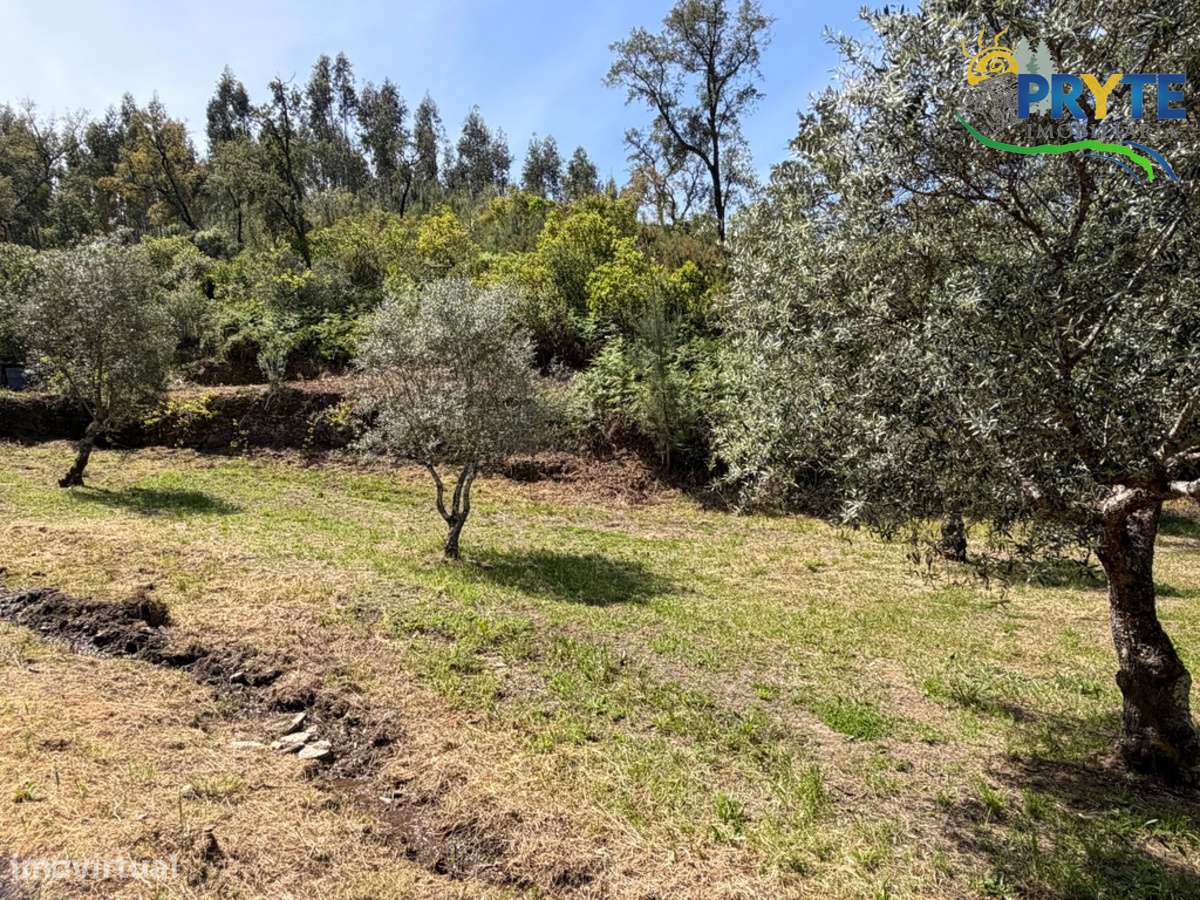 Terreno com uma ruína não registada a 6 quilómetros da Sertã-13