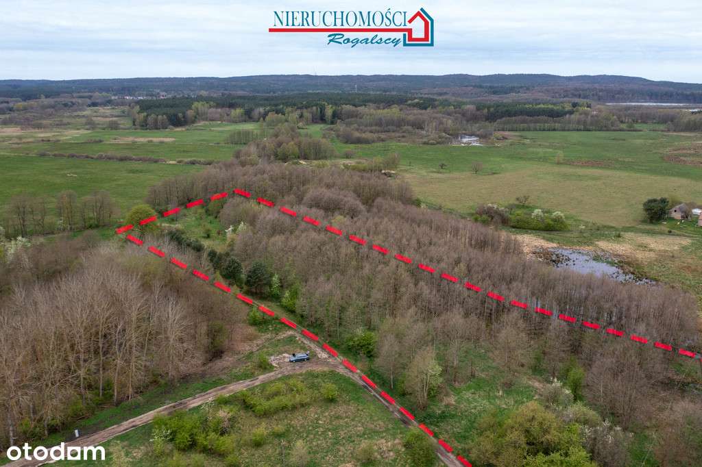 Wyjątkowa działka rolna w sercu wsi Rabiąż - Pełny obrazek: 3/7