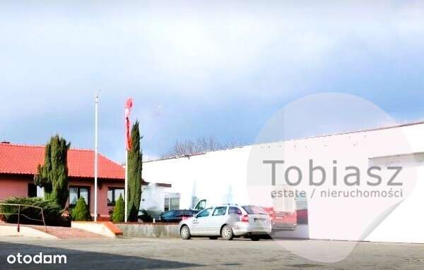 Budynki magazynowe+ biura/ dz. usługowa-4543 m2-3