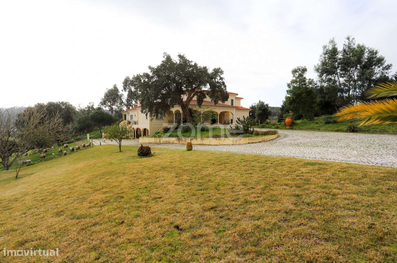 Quinta c/moradia T10 | 1ha de terreno | Figueira da Foz - Grande imagem: 5/60