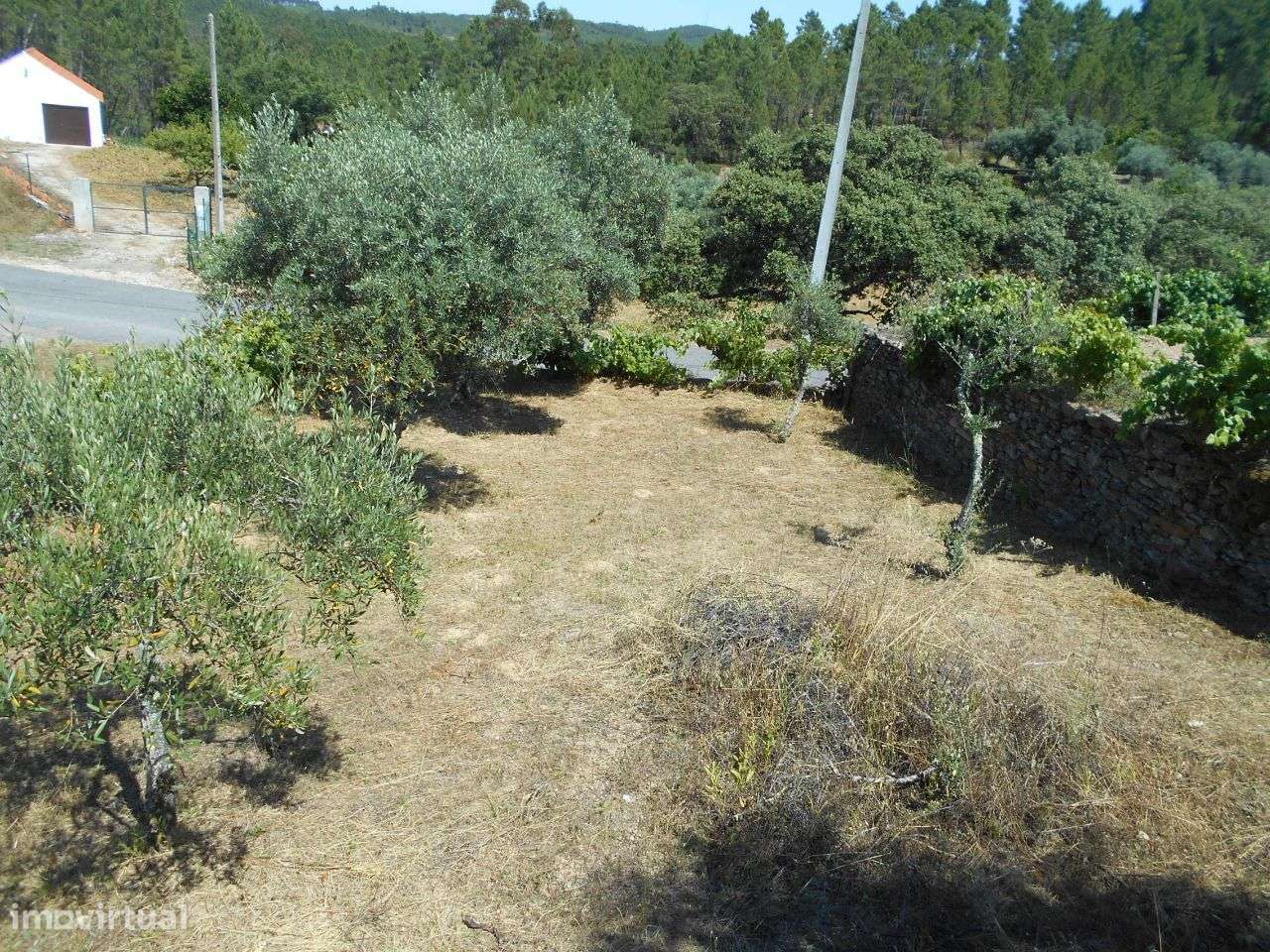 Quintinha - Grande imagem: 4/7