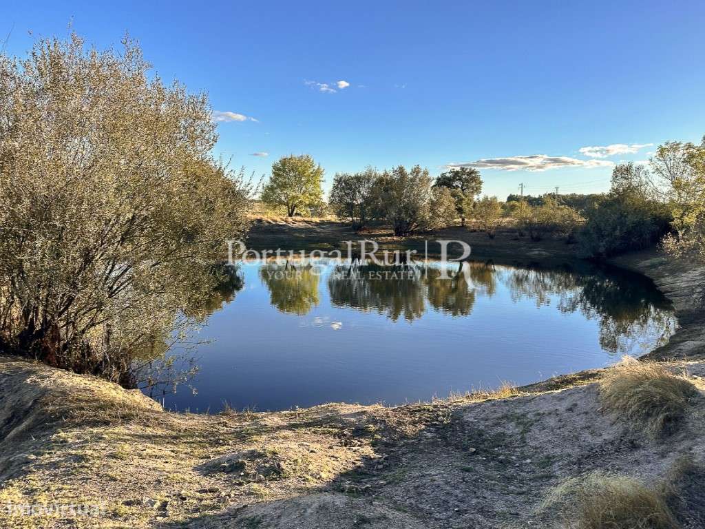 Quinta com 15 hectares em Castelo Branco - Grande imagem: 3/35