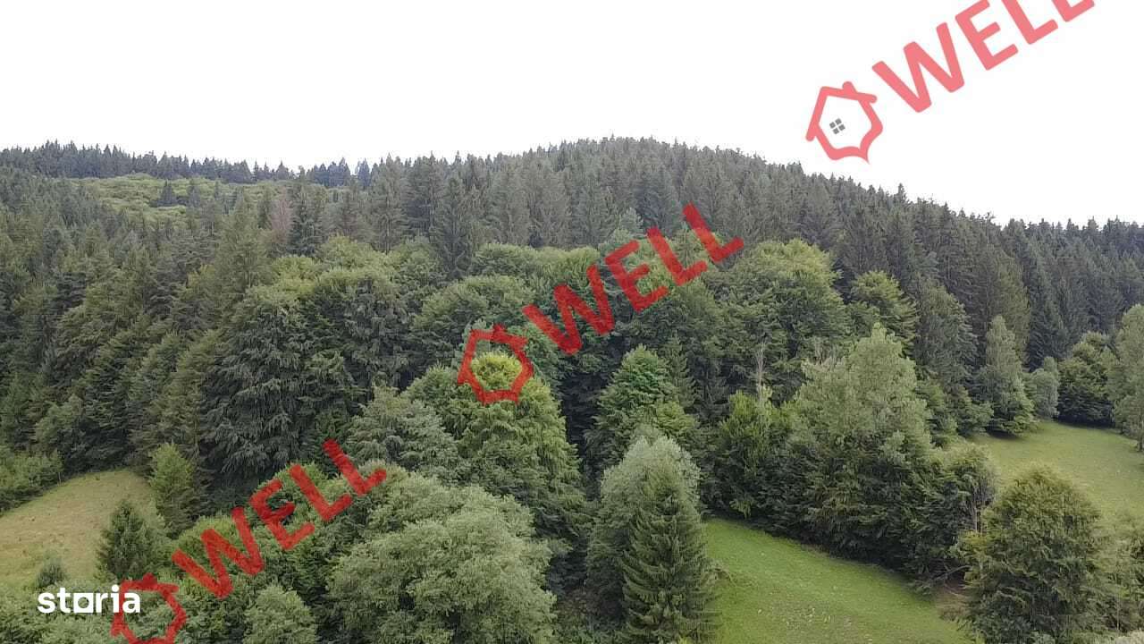 De vânzare teren extravilan în Întorsura Buzăului - Imagine principală: 4/7