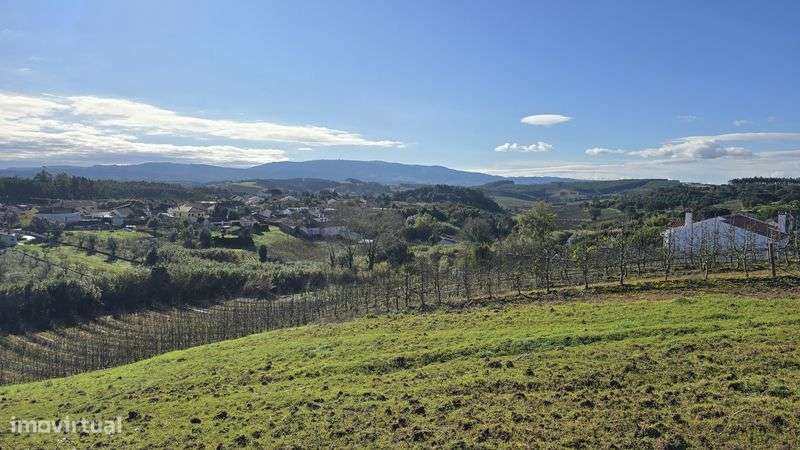 Terreno com 2.500 m² - Grande imagem: 4/5