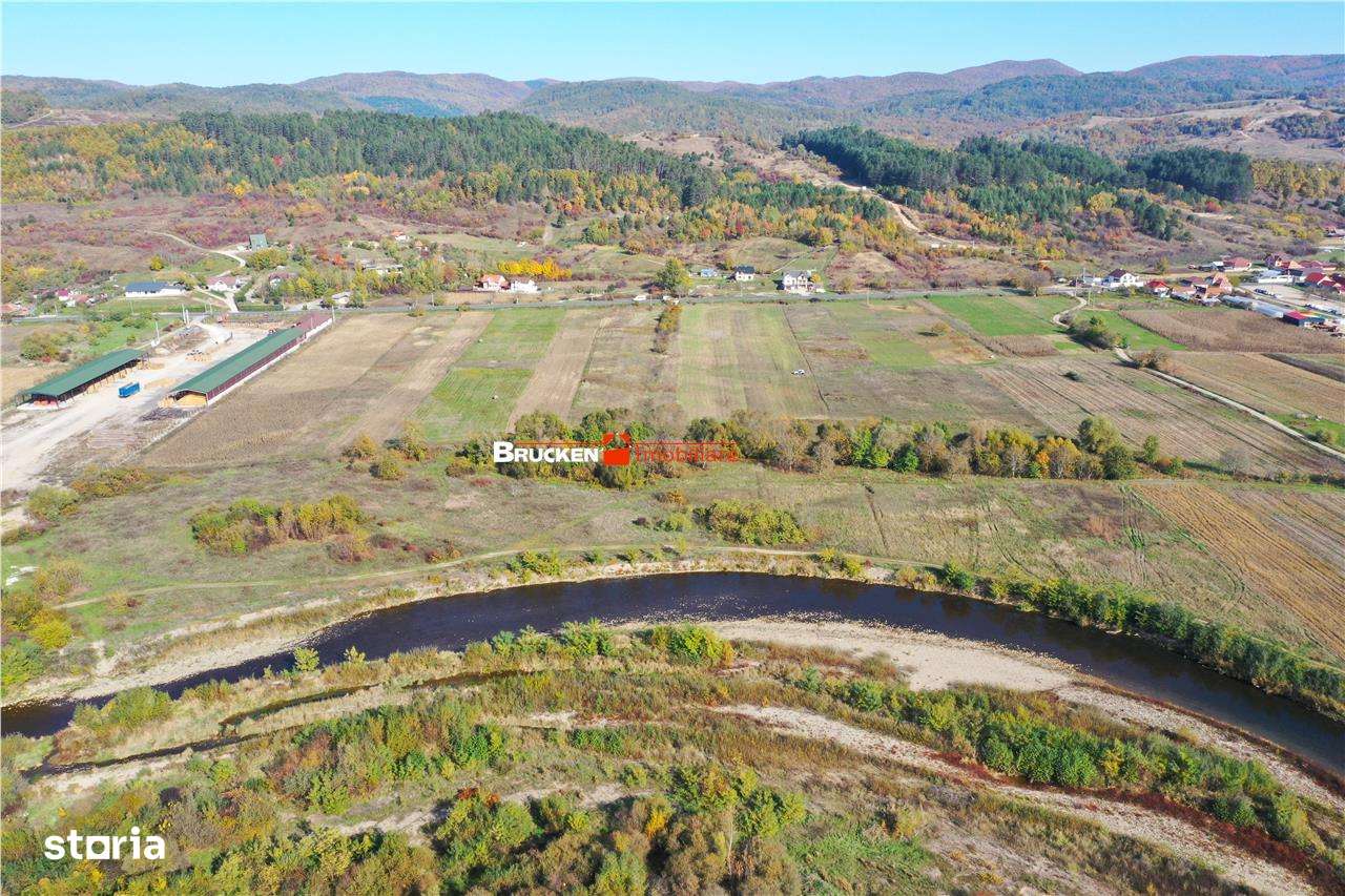 TEREN INTRAVILAN + EXTRAVILAN | AUSEU - Imagine principală: 4/5