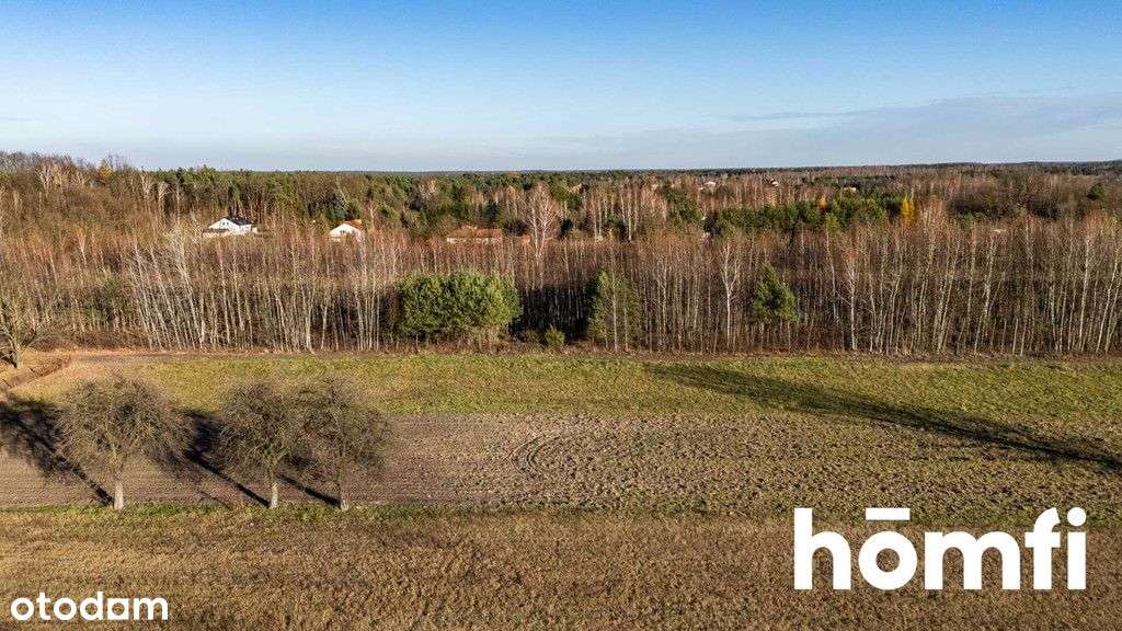 Działki w Dawidowie z Wz - otocz się ciszą - Pełny obrazek: 4/9