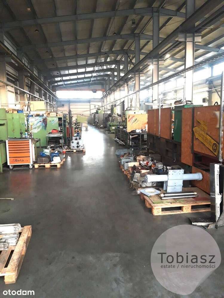 Kompleks produkcyjno- magazynowy/suwnice/ 3284 m2 - Pełny obrazek: 4/9