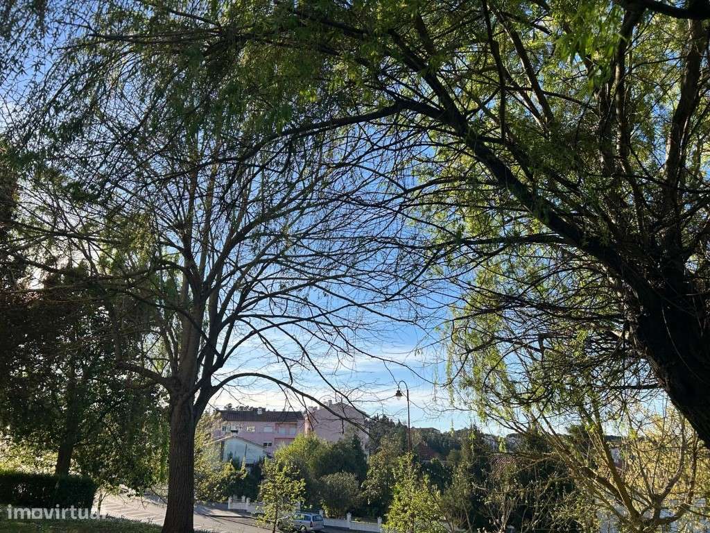 Apartamento tipologia T2-11