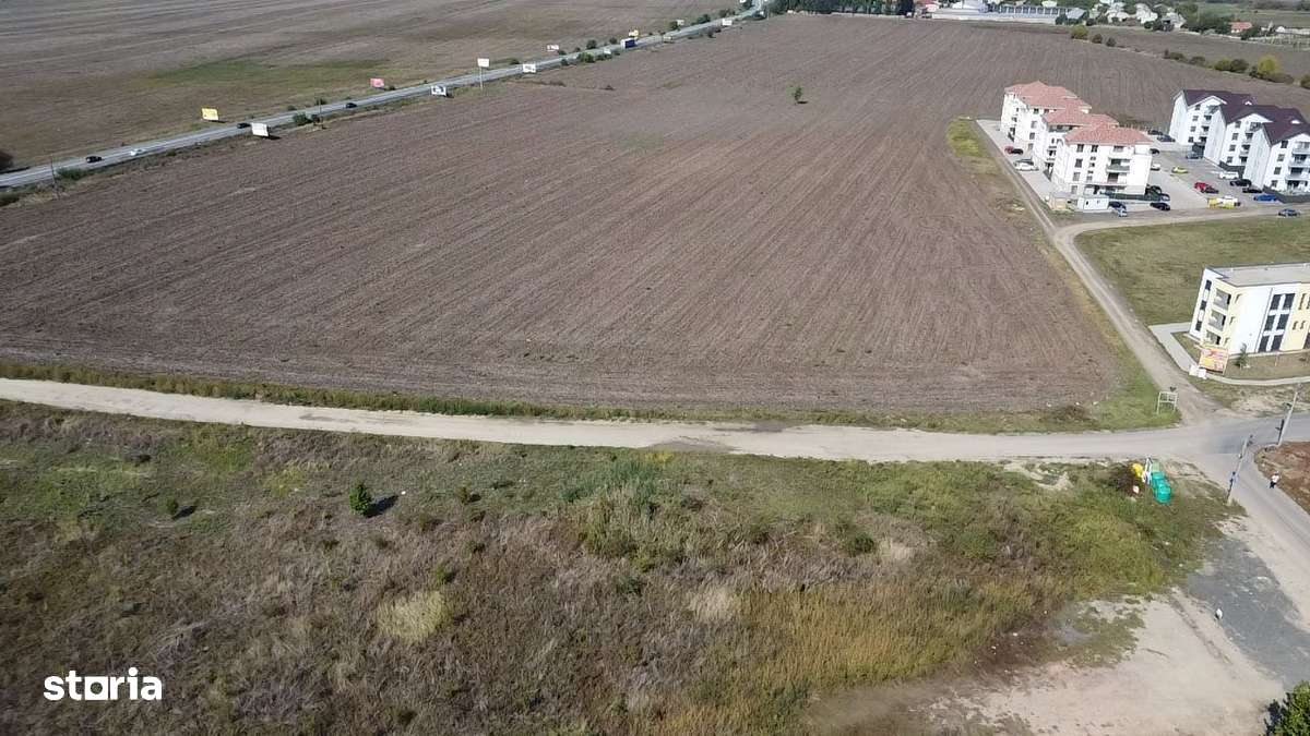 Teren de Vânzare Dumbrăvița 1,5Ha Comercial(cu potențial posibil rate) - Imagine principală: 4/7