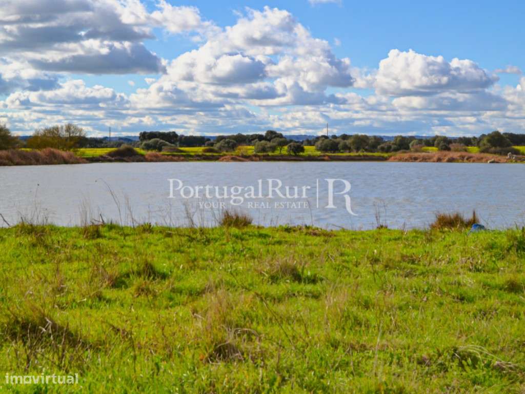 Propriedade de 155 ha com barragem privada - Grande imagem: 2/38