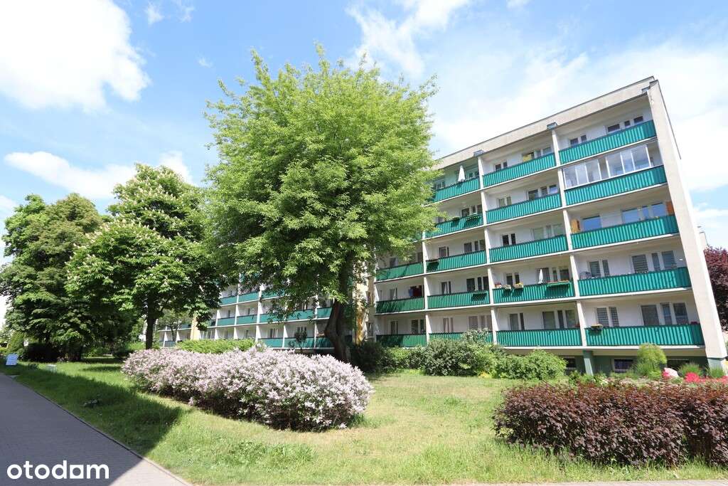 3 niezależne pokoje z kuchnią - os. Oświecenia-12