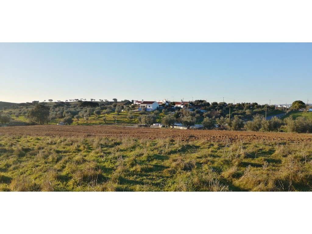 Terreno com 10000 m2 próximo da Vila de Redondo - Grande imagem: 5/8
