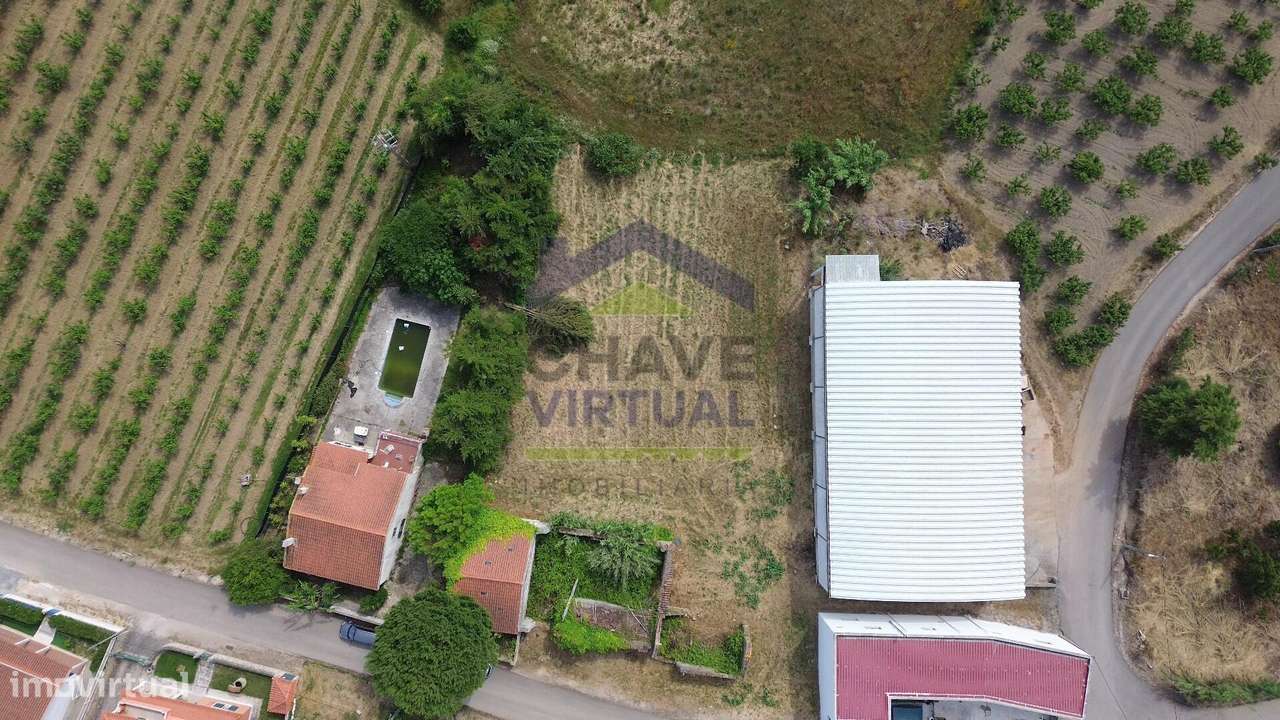 Terreno para Construção Delgada - Bombarral-13