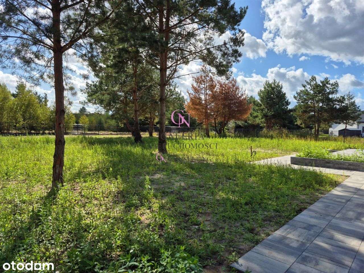 6 pokojowy nowy dom w pięknym otoczeniu lasu - Pełny obrazek: 5/20