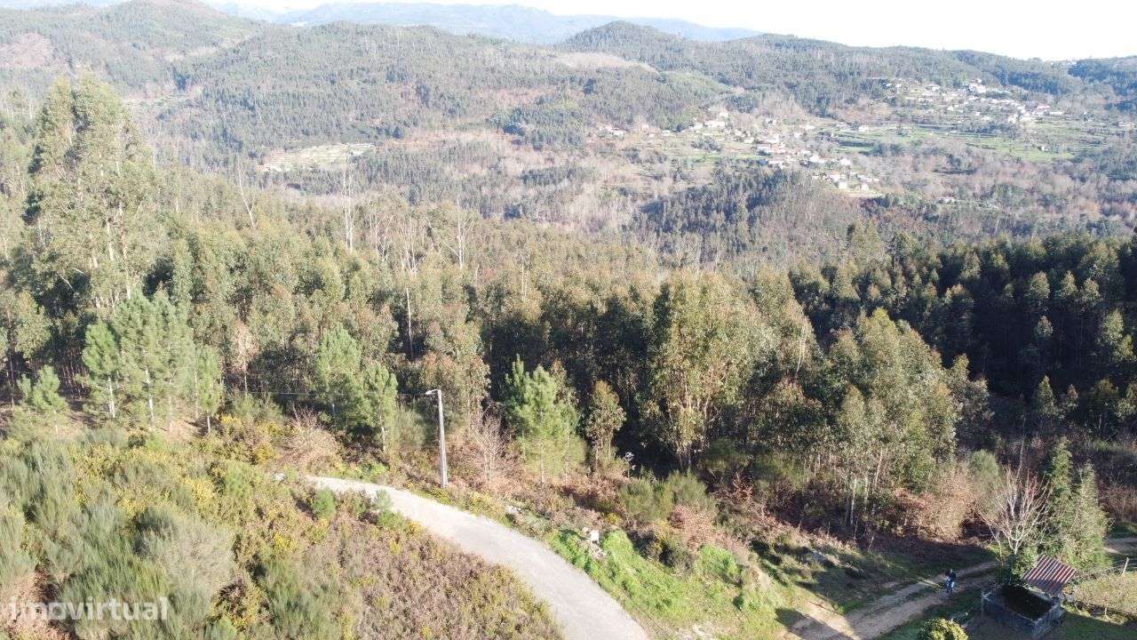 Terreno – Oliveira de Frades - Grande imagem: 4/18