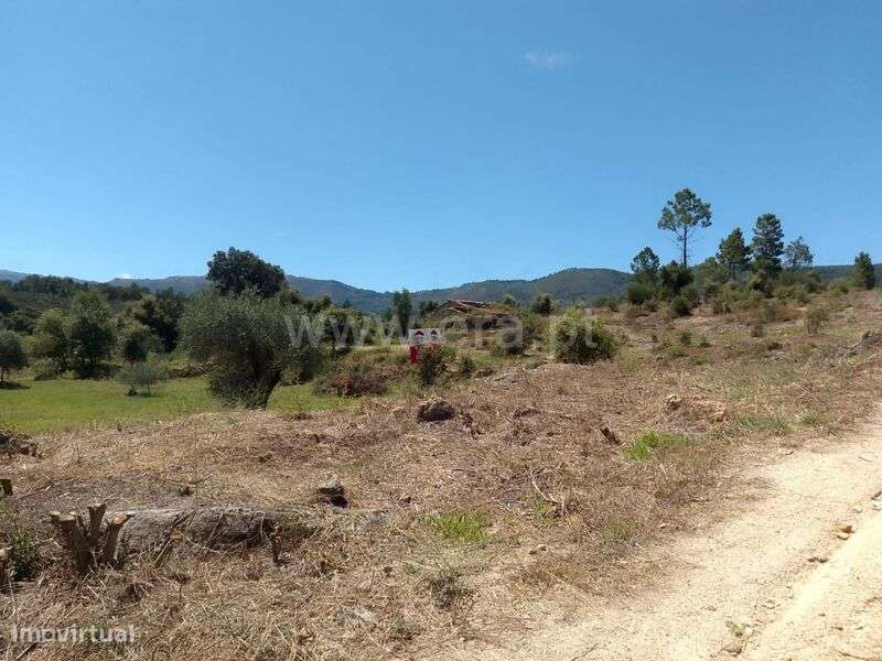 Terreno / Fundão, Vale de Prazeres e Mata da Rainha - Grande imagem: 1/8