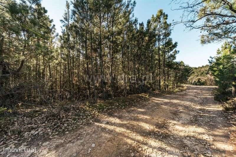 Terreno Rústico / Fundão, Alcaide - Grande imagem: 2/9