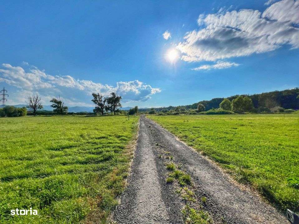 Teren intravilan-Urbanism-Muzeul Satului- Padurea Dumbrava - Imagine principală: 4/7