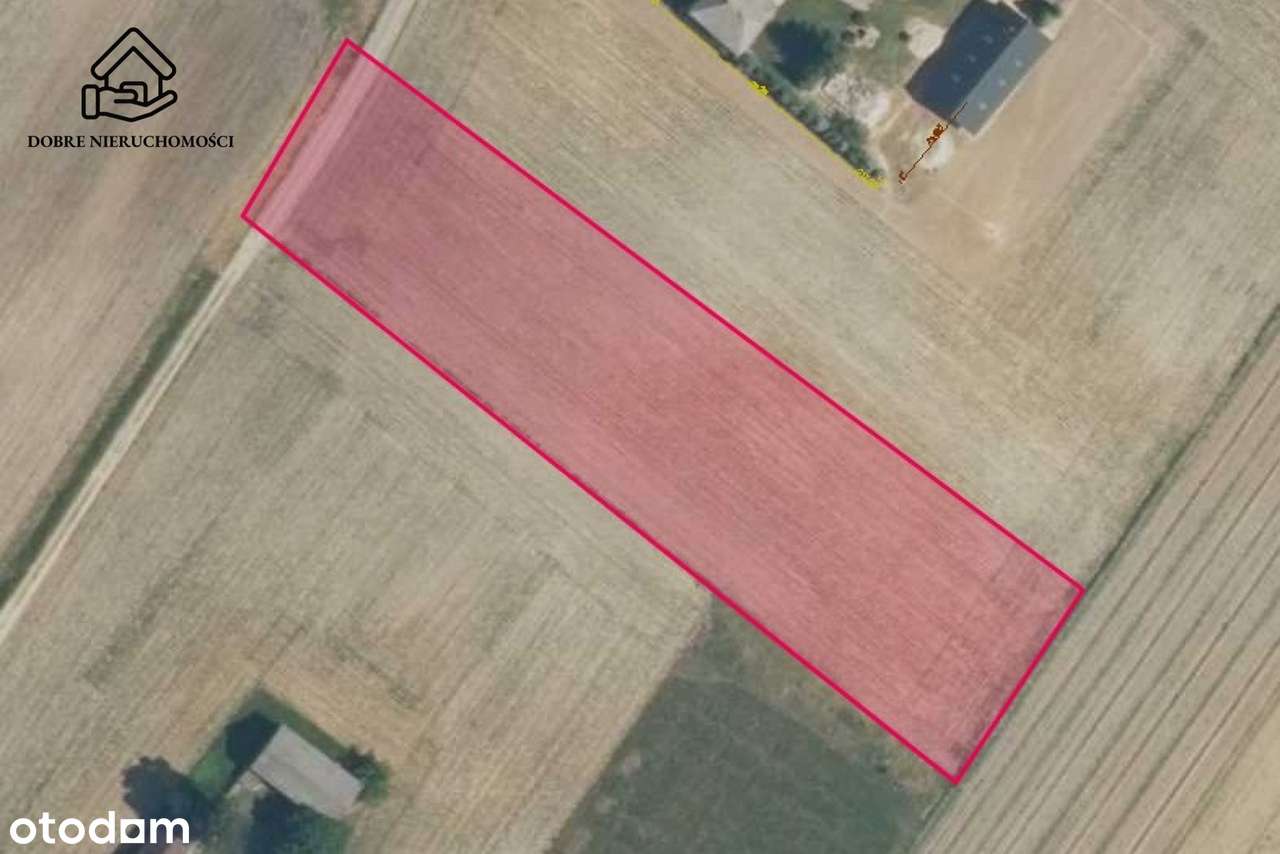 Duża działka - Wz - Miłocin - Pełny obrazek: 5/5