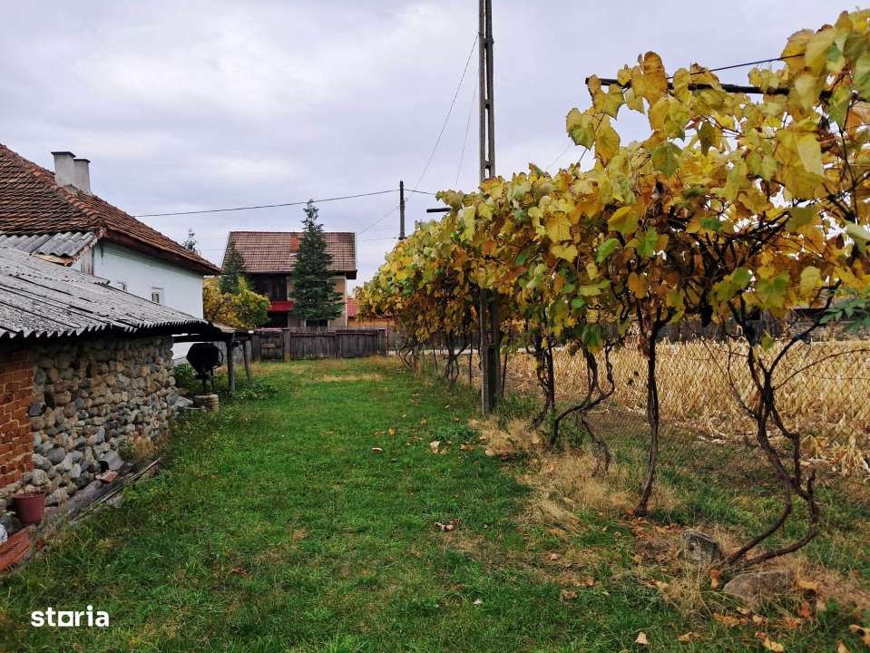 CASĂ SI TEREN BAIA DE FIER - Imagine principală: 5/14