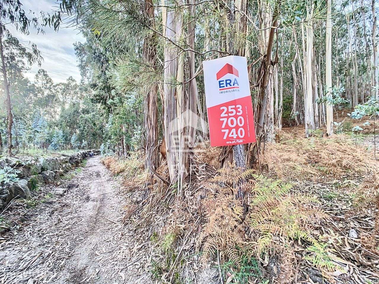 Terreno com 7.410m2 em Arões São Romão, Fafe - Grande imagem: 4/6