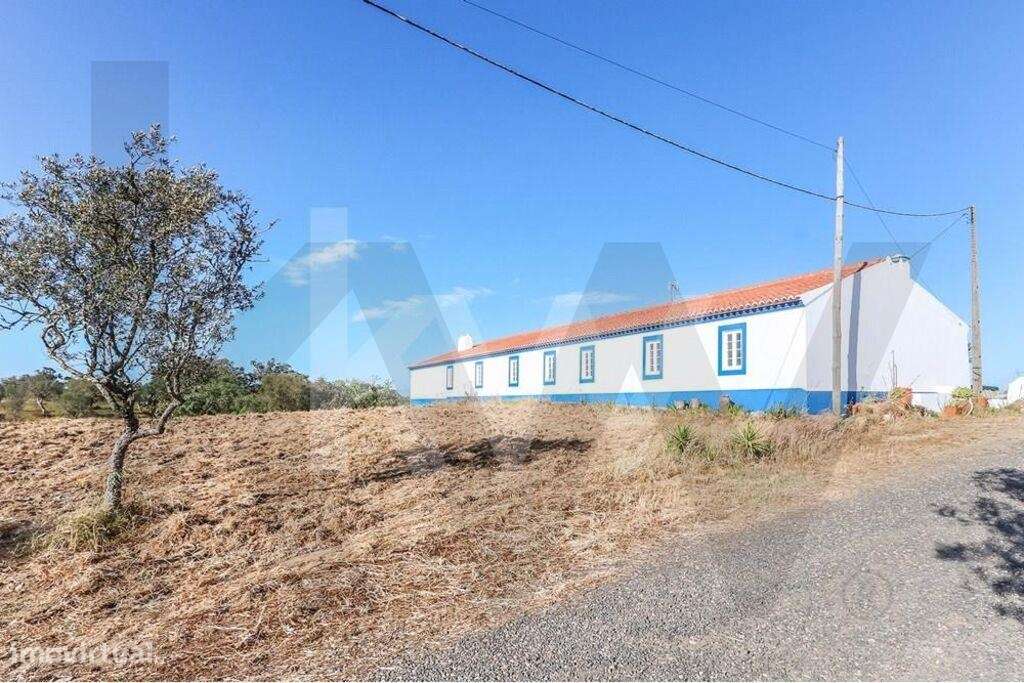 Monte Alentejano: Tradição e Harmonia no Montado - Grande imagem: 2/29