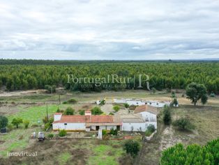Quinta com 5165 m2, a 30 minutos das praias da Costa Vicentina - Grande imagem: 2/17