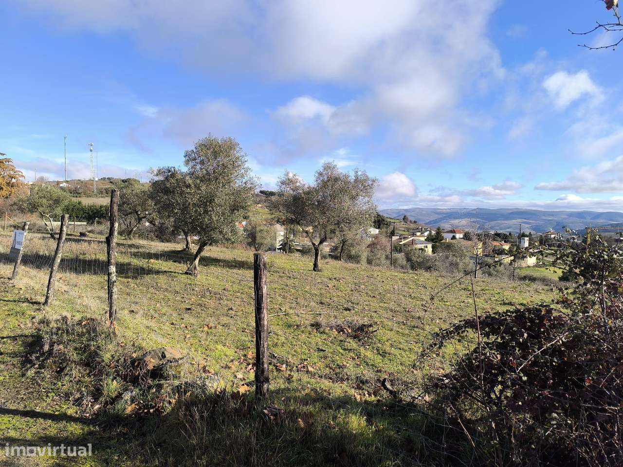 Terreno Rústico em Bragança - Oportunidade Única por 80.000€ - Grande imagem: 2/4